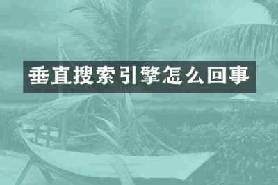 垂直搜索引擎怎么回事