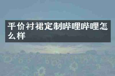 平价衬裙定制哔哩哔哩怎么样