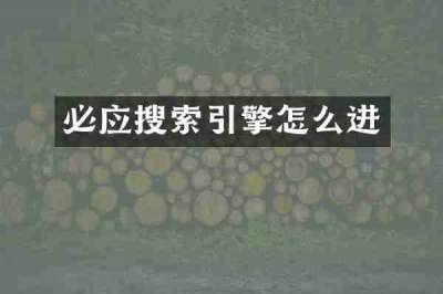 必应搜索引擎怎么进