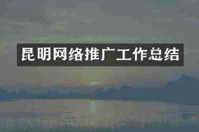 昆明网络推广工作总结