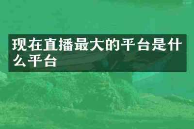 现在直播最大的平台是什么平台