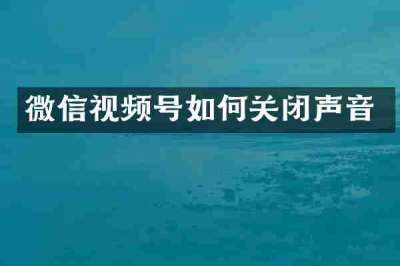 微信视频号如何关闭声音