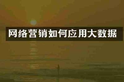 网络营销如何应用大数据