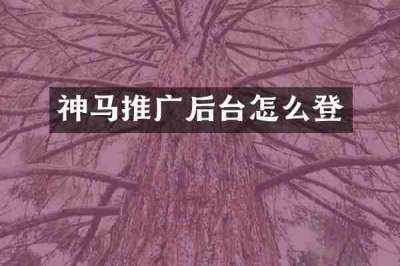 神马推广后台怎么登