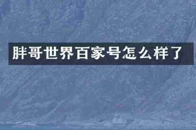 胖哥世界百家号怎么样了