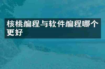 核桃编程与软件编程哪个更好