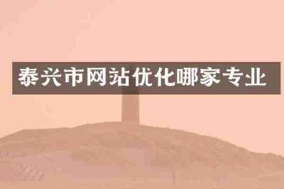 泰兴市网站优化哪家专业