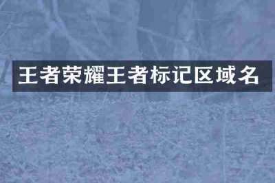 王者荣耀王者标记区域名