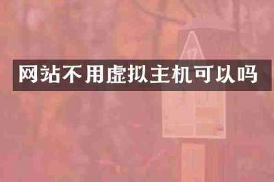 网站不用虚拟主机可以吗