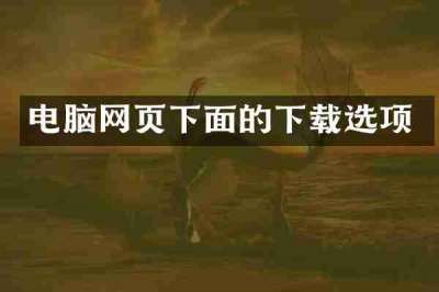 电脑网页下面的下载选项