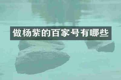 做杨紫的百家号有哪些