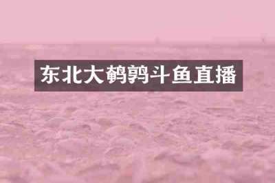 东北大鹌鹑斗鱼直播