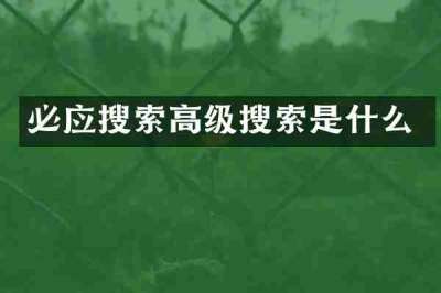 必应搜索高级搜索是什么
