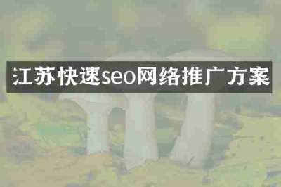 江苏快速seo网络推广方案