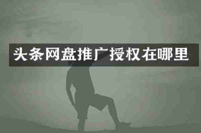 头条网盘推广授权在哪里