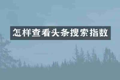 怎样查看头条搜索指数