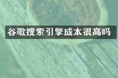 谷歌搜索引擎成本很高吗