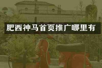 肥西神马首页推广哪里有