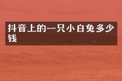 抖音上的一只小白兔多少钱