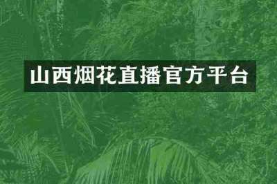 山西烟花直播官方平台