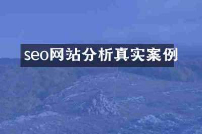 seo网站分析真实案例