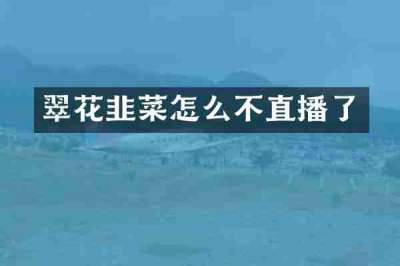 翠花韭菜怎么不直播了