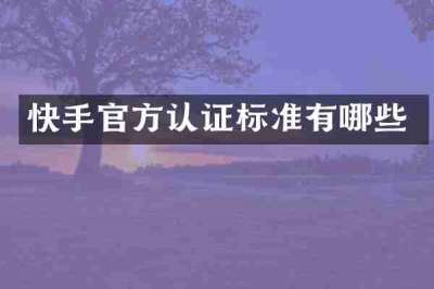 快手官方认证标准有哪些