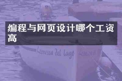 编程与网页设计哪个工资高