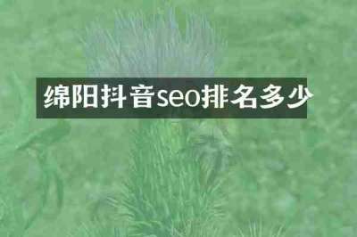 绵阳抖音seo排名多少