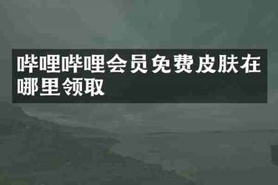 哔哩哔哩会员免费皮肤在哪里领取