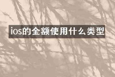 ios的金额使用什么类型