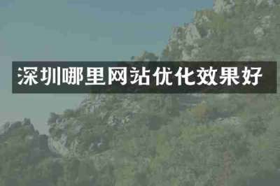 深圳哪里网站优化效果好