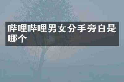 哔哩哔哩男女分手旁白是哪个