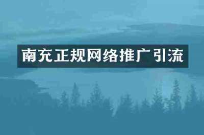南充正规网络推广引流