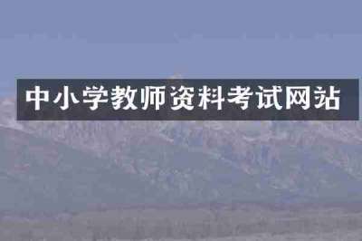 中小学教师资料考试网站