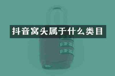 抖音窝头属于什么类目