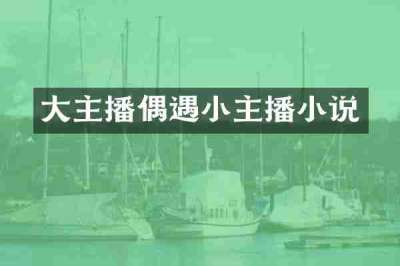 大主播偶遇小主播小说