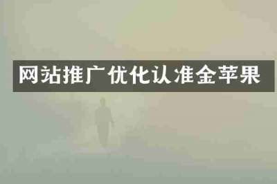 网站推广优化认准金苹果