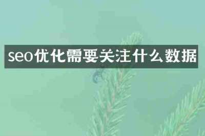 seo优化需要关注什么数据