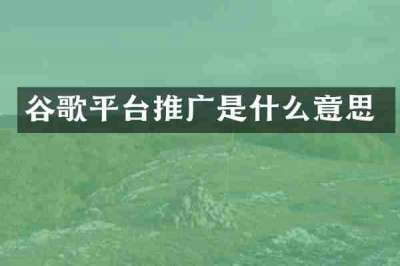 谷歌平台推广是什么意思