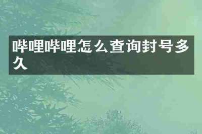 哔哩哔哩怎么查询封号多久