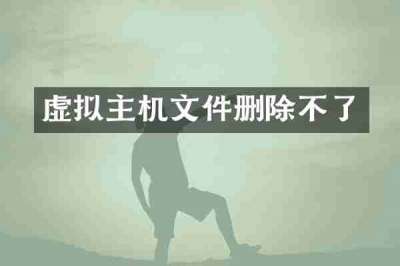 虚拟主机文件删除不了
