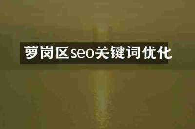 萝岗区seo关键词优化