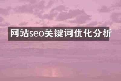网站seo关键词优化分析
