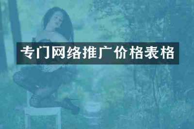 专门网络推广价格表格