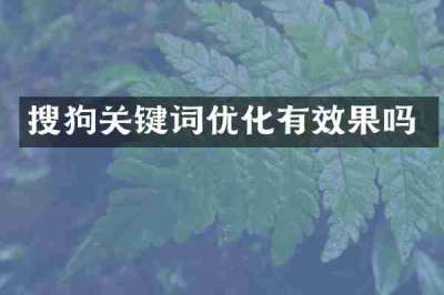 搜狗关键词优化有效果吗