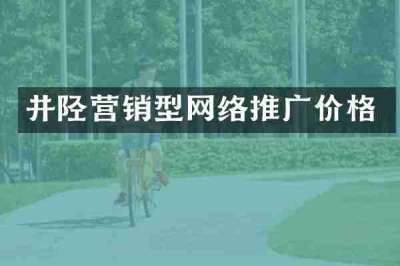 井陉营销型网络推广价格
