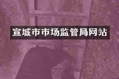 宣城市市场监管局网站