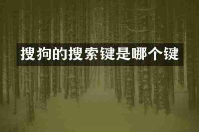 搜狗的搜索键是哪个键