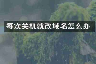 每次关机就改域名怎么办